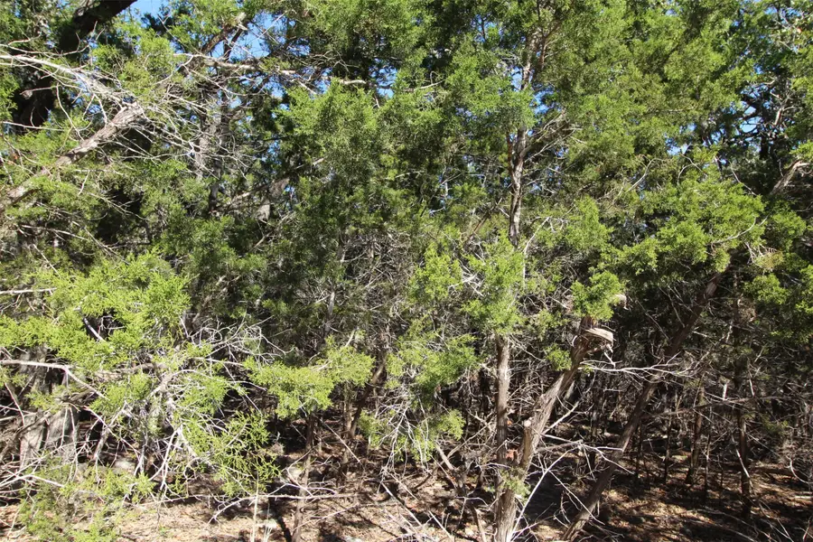 357 Big Bend Drive, Canyon Lake, TX 78133 - #3