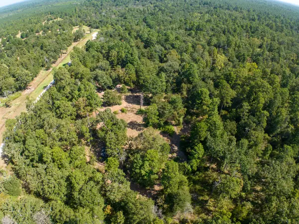 134 Cedar Ridge, Huntsville, TX 77320
