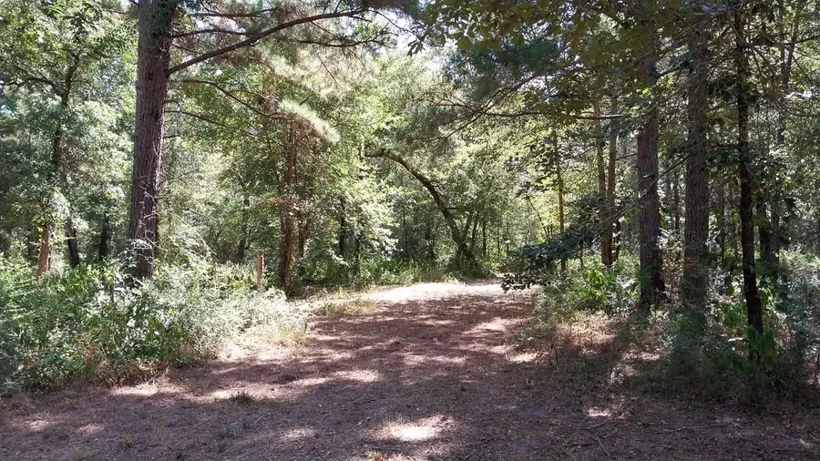 134 Cedar Ridge, Huntsville, TX 77320 - #3