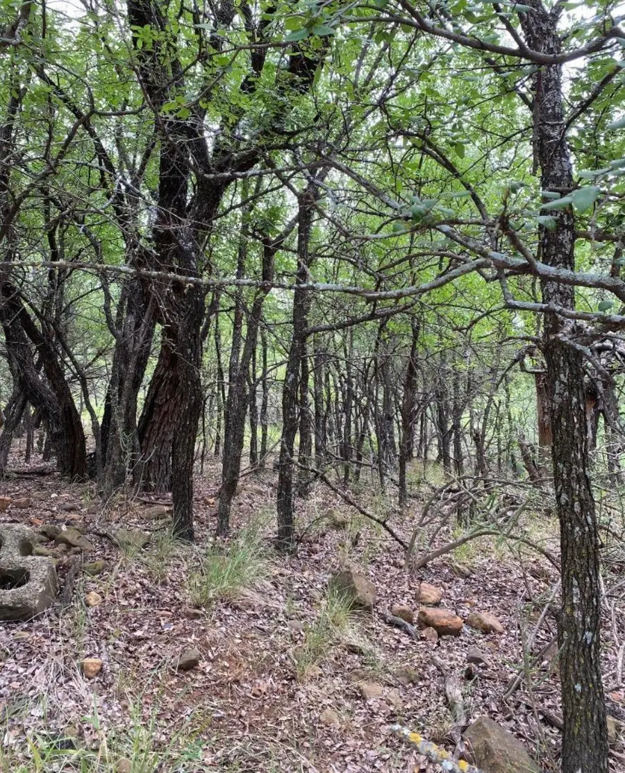 0 NE 8th Avenue, Mineral Wells, TX 76067 - #3