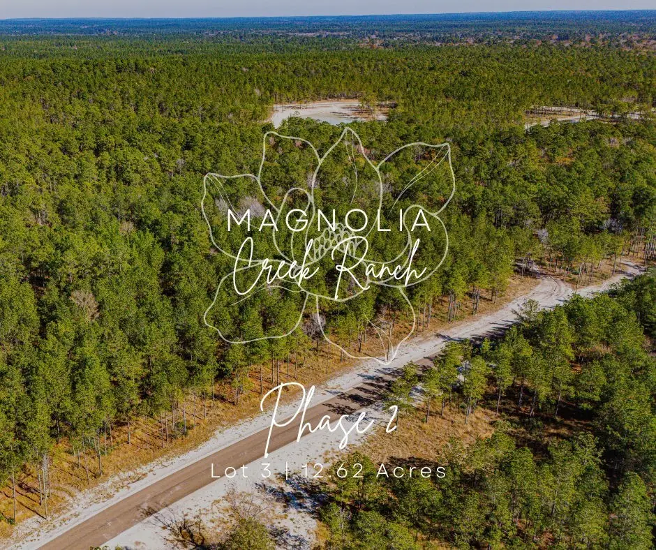 023 Magnolia Ranch Road, Onalaska, TX 77360 - Image #1