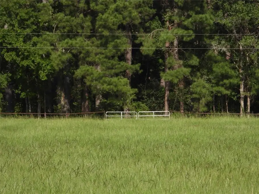 18855 Bethel Rd, Richards, TX 77873 - #2