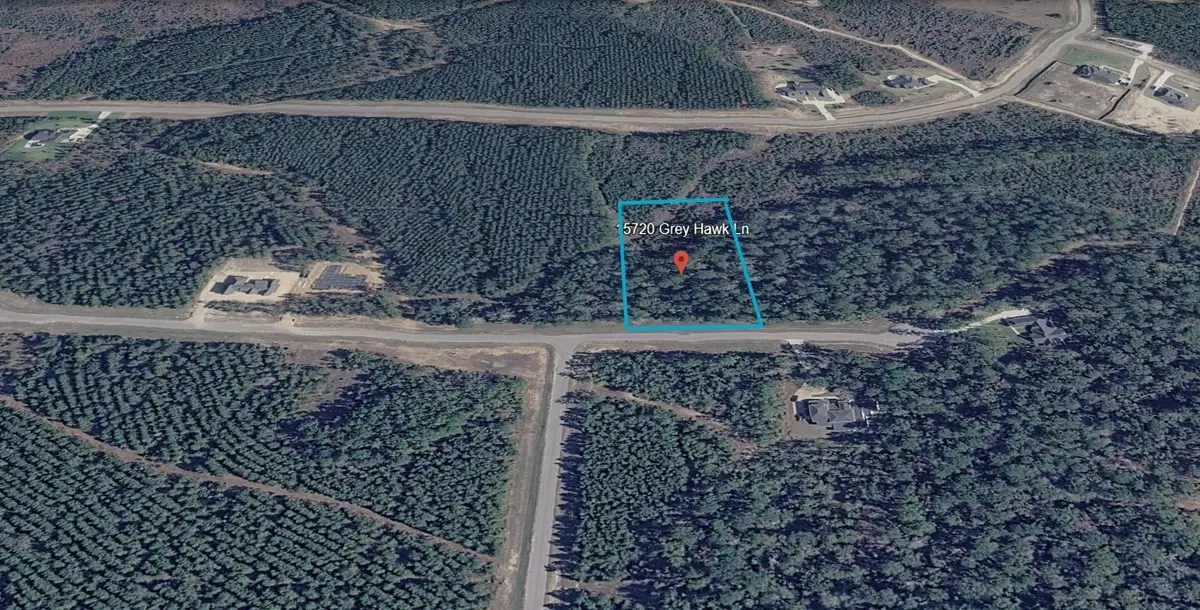 15720 Grey Hawk Ln, Willis, TX 77378 - #1