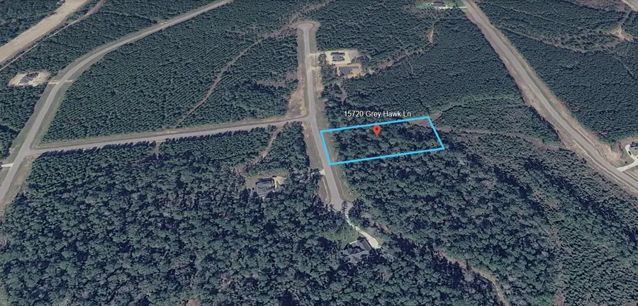 15720 Grey Hawk Ln, Willis, TX 77378 - #3