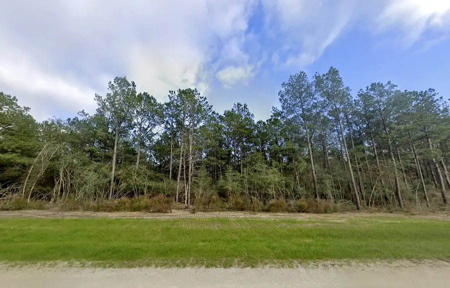 16247 Golden Wood Court, Willis, TX 77378 - #3