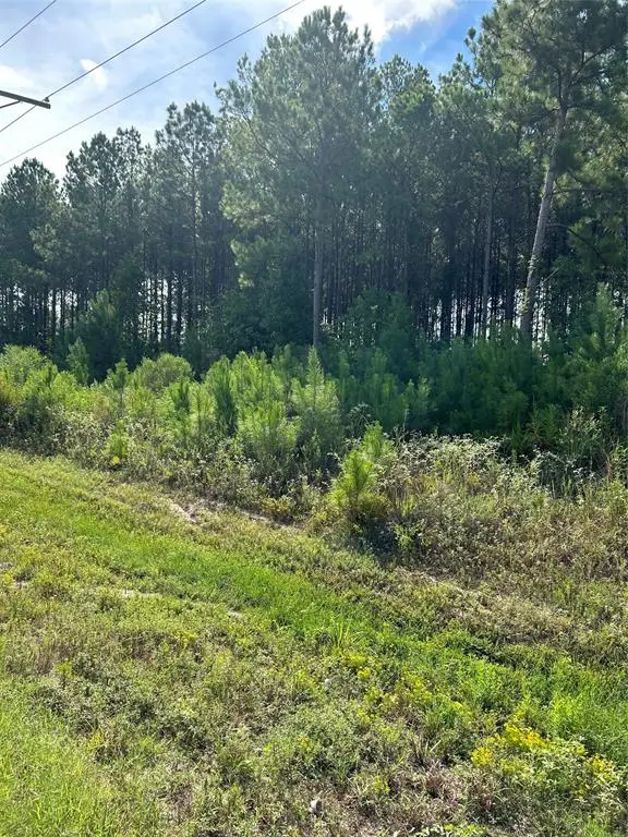 2966 County Road 3545, Cleveland, TX 77327 - Image #3