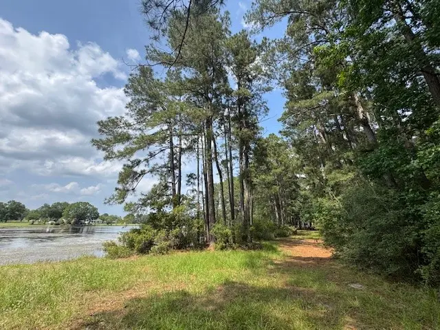 91 Meadow Lake Drive, Trinity, TX 75862 - #1