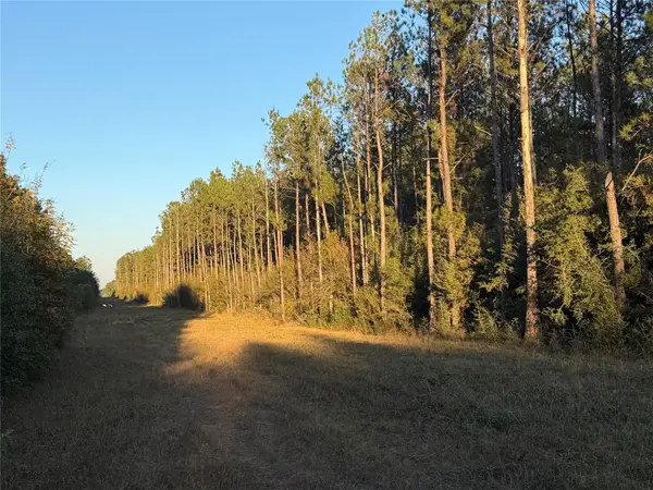 Lot 39 Carter Ranch Road, Kountze, TX 77625