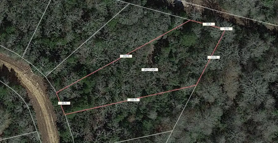 Lot 47 Austin Colony Drive, Normangee, TX 77871 - Image #2