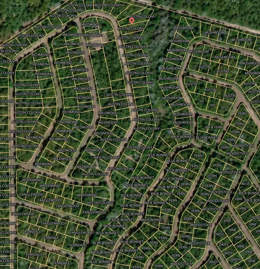 Lot 47 Austin Colony Drive, Normangee, TX 77871 - Image #3