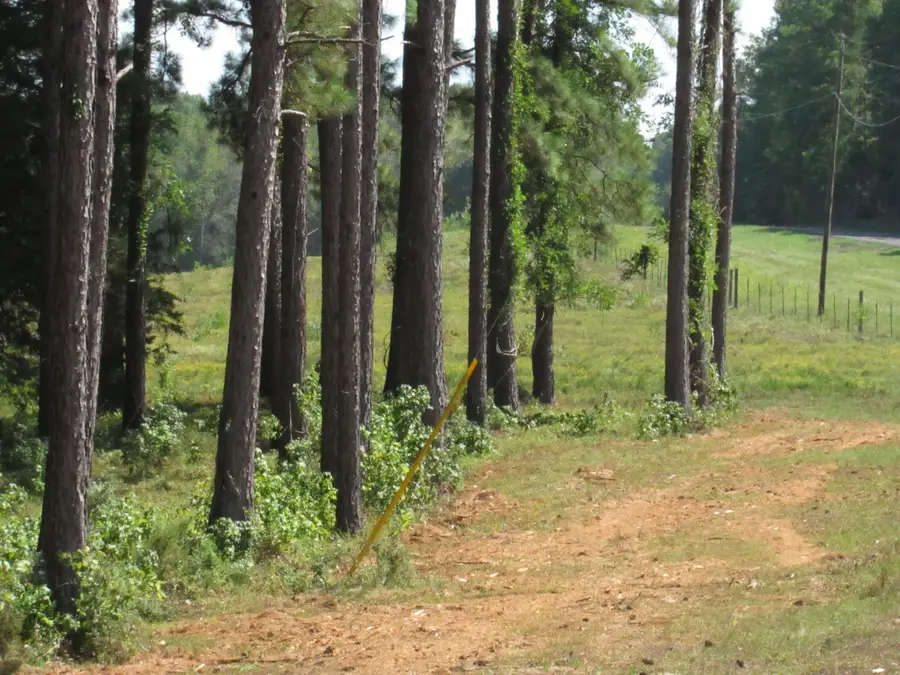 0004 Fm 256 N, Woodville, TX 75979 - Image #3