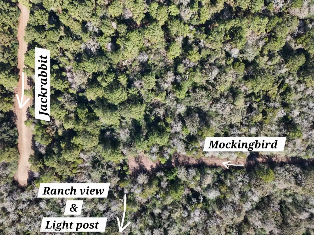 28802 Jackrabbit-all Drive, Hempstead, TX 77445 - Image #1