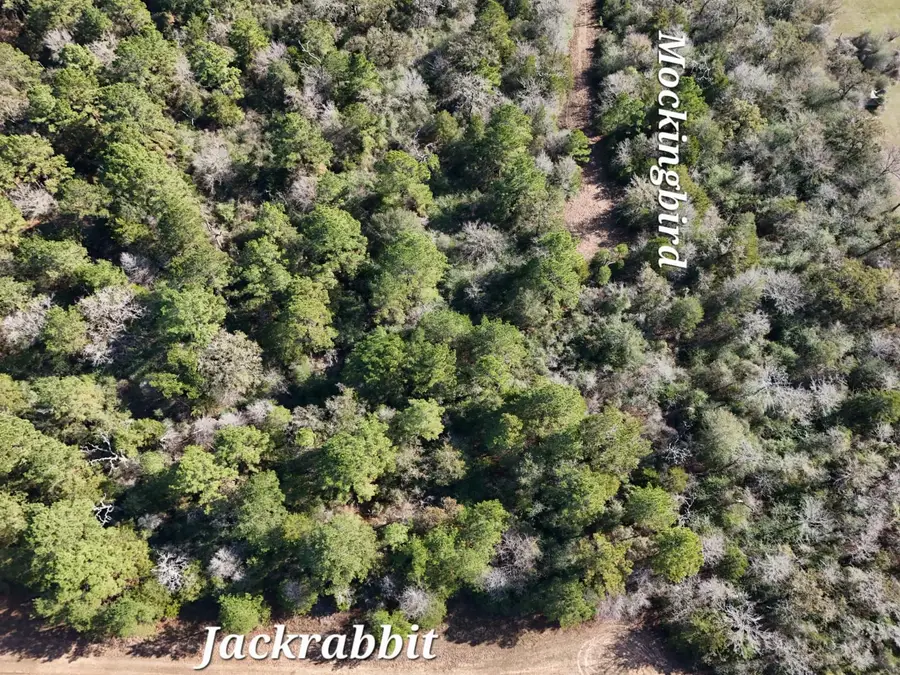 28802 Jackrabbit-all Drive, Hempstead, TX 77445 - Image #2