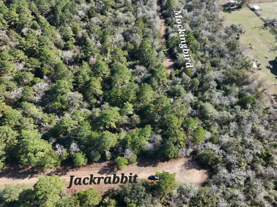 28802 Jackrabbit-all Drive, Hempstead, TX 77445 - Image #3