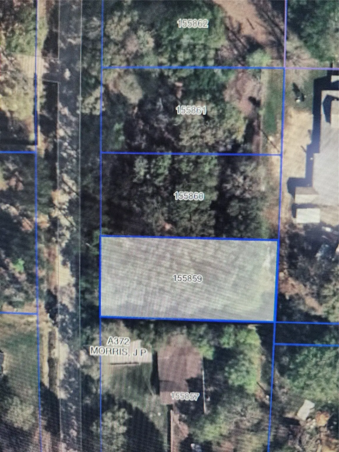 33010 Octavia Drive, Magnolia, TX 77354 - #1