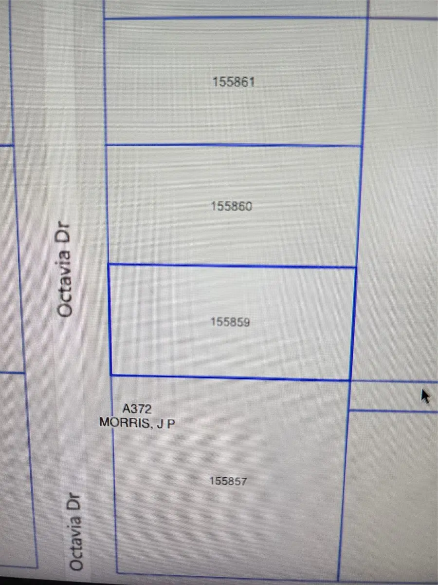 33010 Octavia Drive, Magnolia, TX 77354 - #2