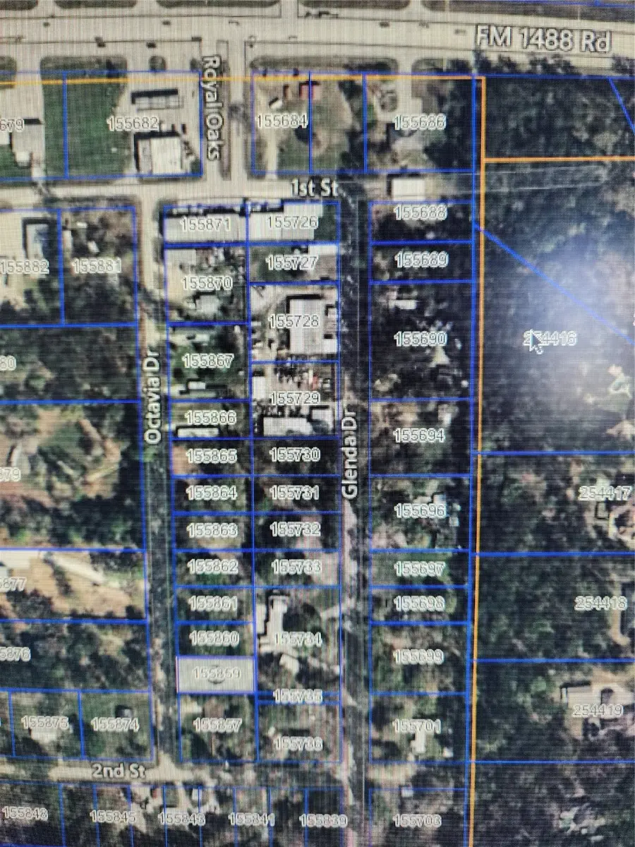 33010 Octavia Drive, Magnolia, TX 77354 - #3