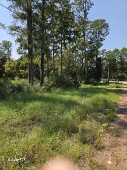 10978 Oak Forest Drive, Plantersville, TX 77363 - Image #2