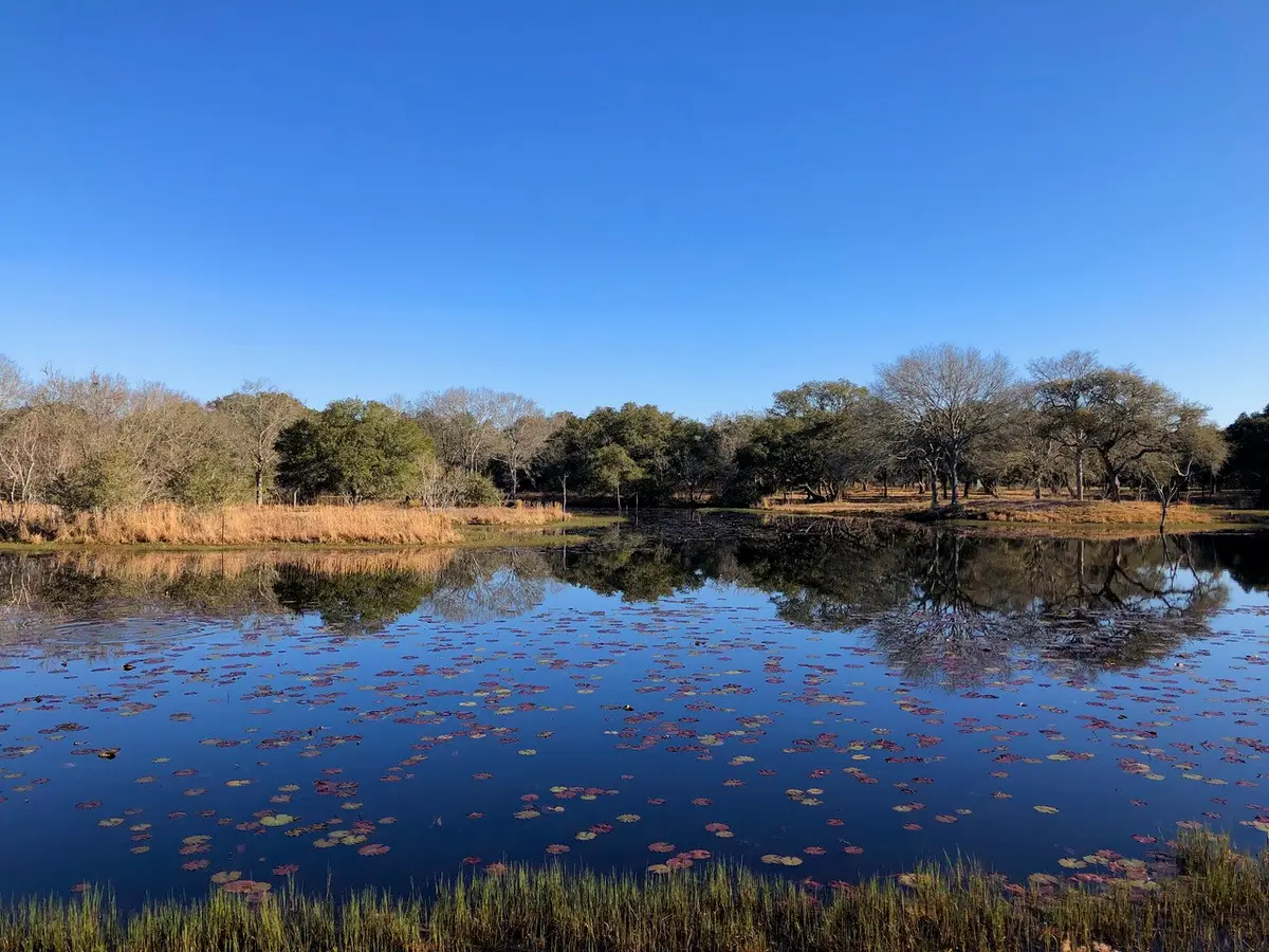 1141 Reeves Road, Garwood, TX 77442 - #1