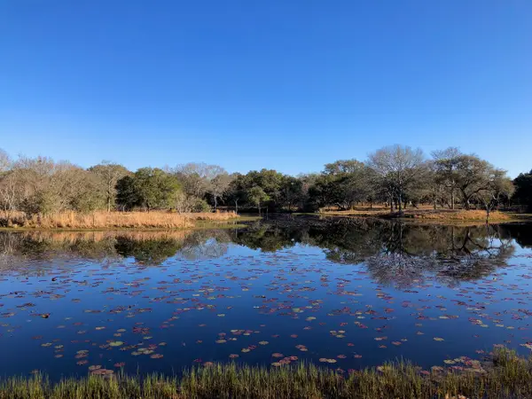 1141 Reeves Road, Garwood, TX 77442