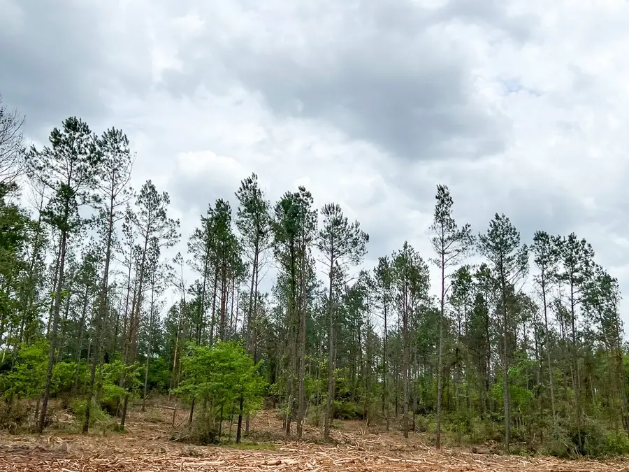 15 Cr 2140, Crockett, TX 75835 - Image #3