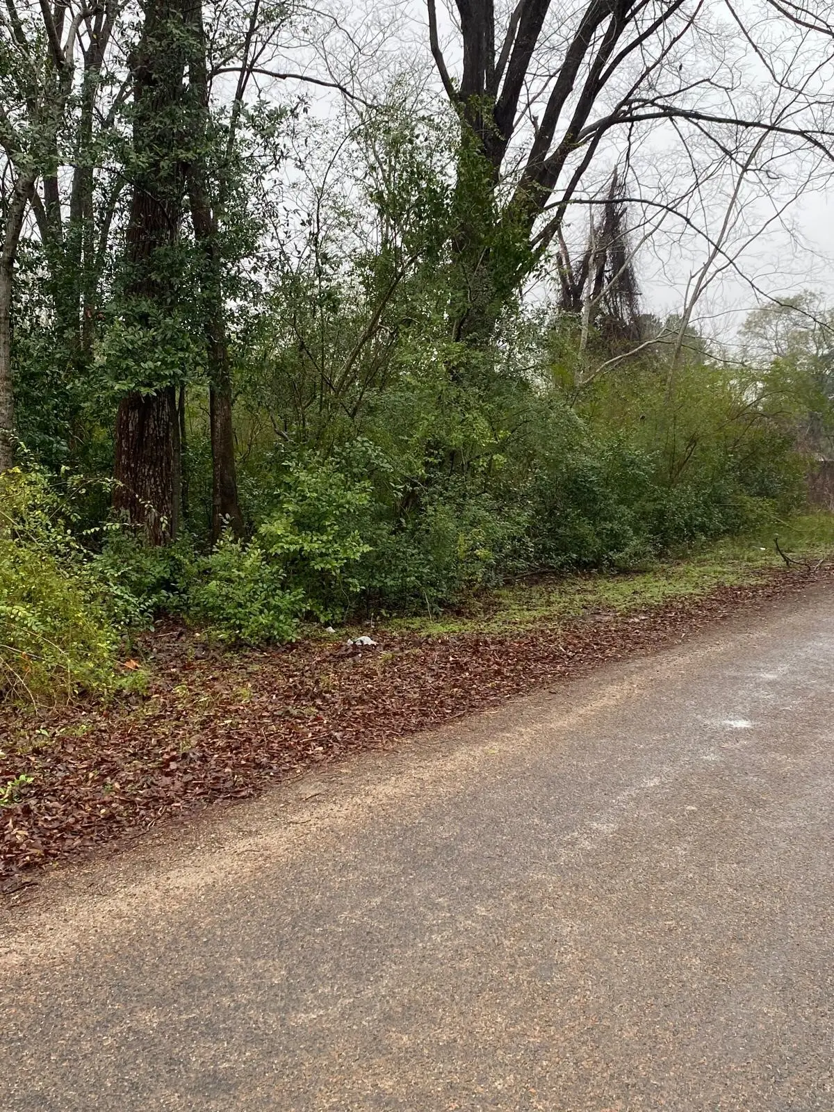 00 Cochran Street, Shepherd, TX 77371 - #1