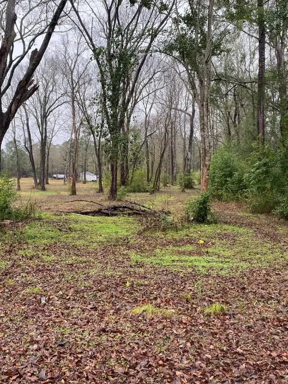 00 Cochran Street, Shepherd, TX 77371