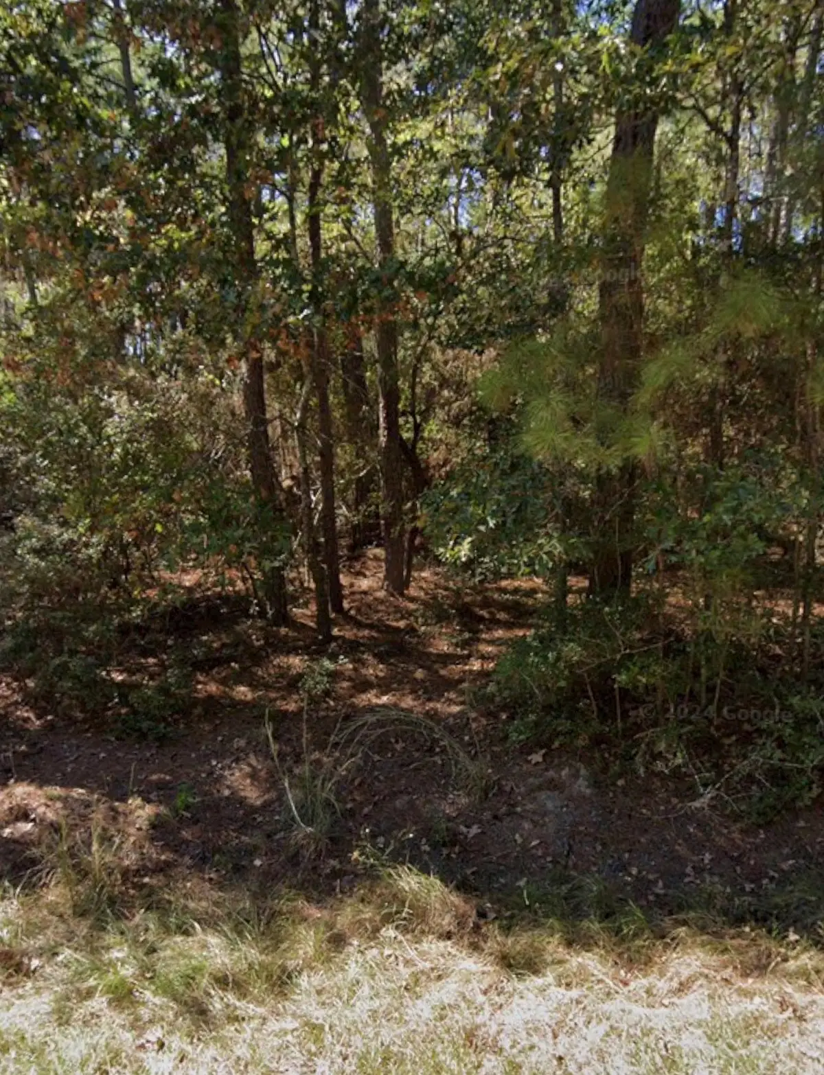 110 Pine Point Circle, Onalaska, TX 77360 - #1