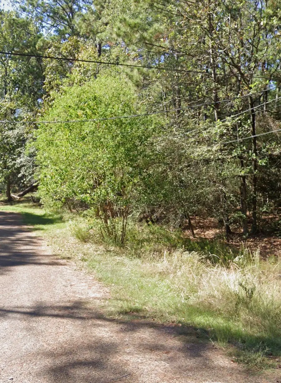 110 Pine Point Circle, Onalaska, TX 77360 - #2