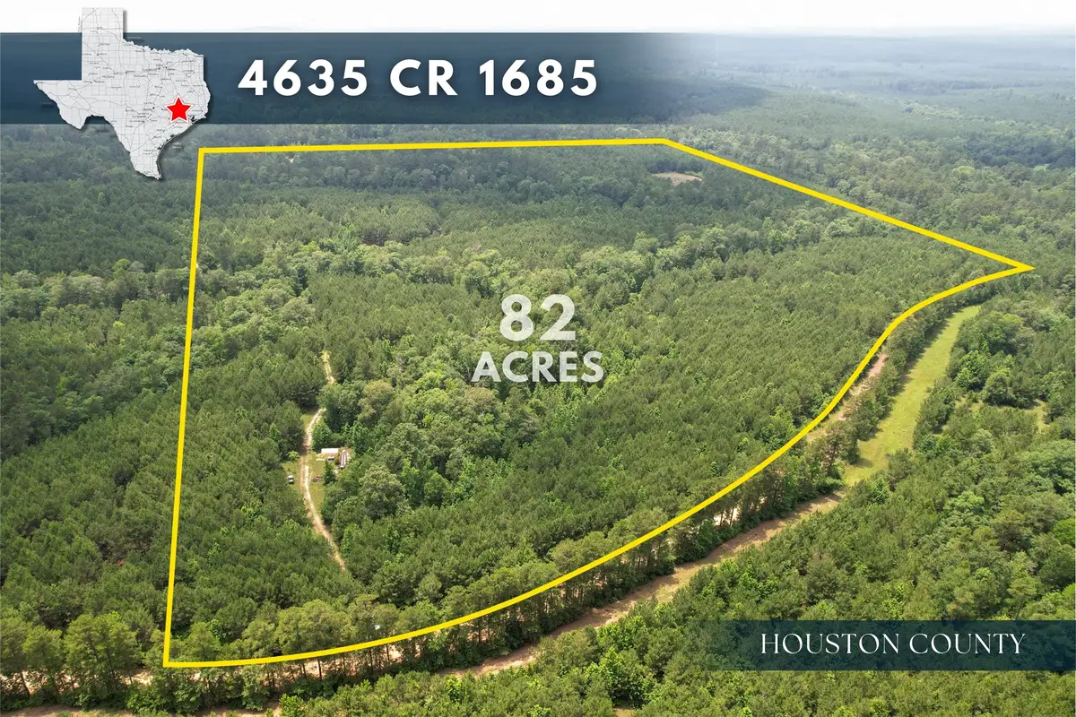 4635 County Road 1685, Grapeland, TX 75844 - Image #1