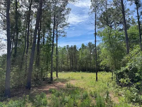 7705 Dog Wood Acres Drive, Montgomery, TX 77316