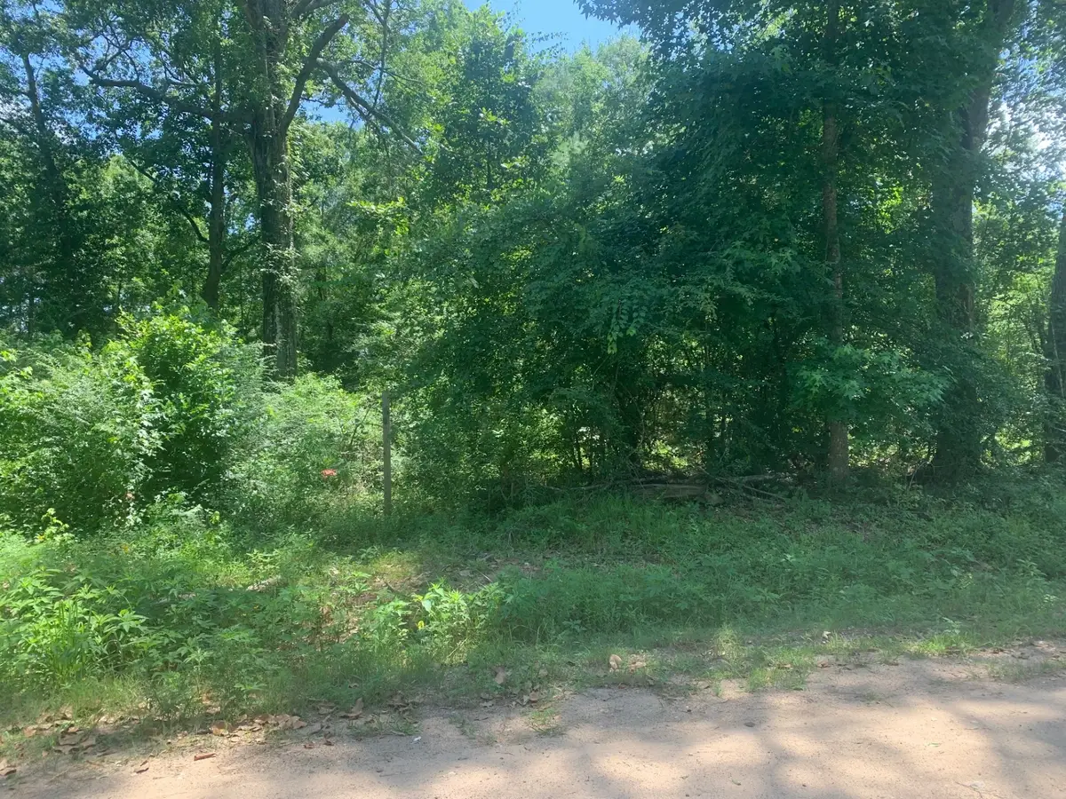 301 Hensley Lane, Shepherd, TX 77371 - Image #1