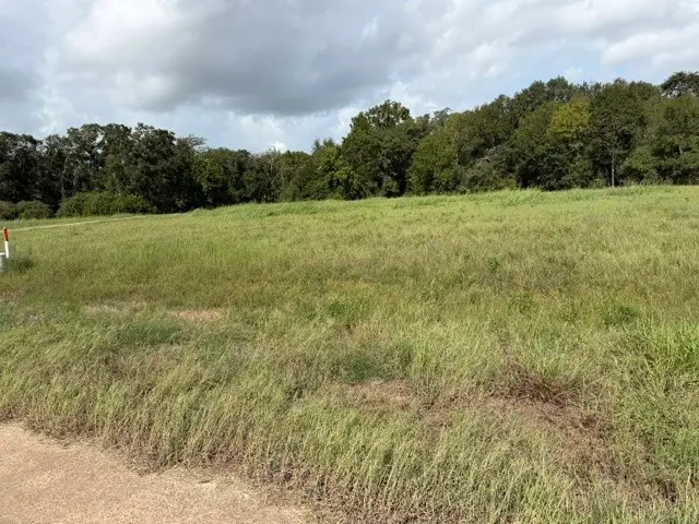 1032 Chuckwagon Trail, Angleton, TX 77515 - #2