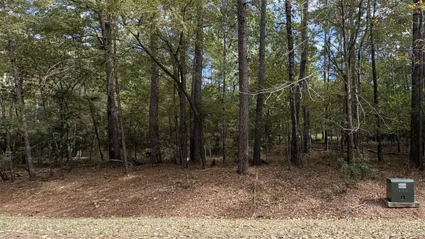 103 Green Tree Drive, Coldspring, TX 77331