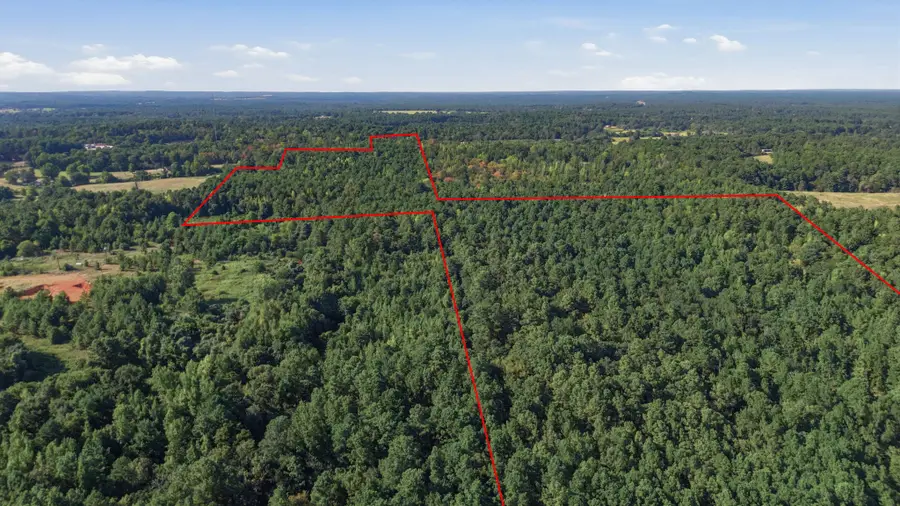 0 An County Road 359, Palestine, TX 75801 - #2