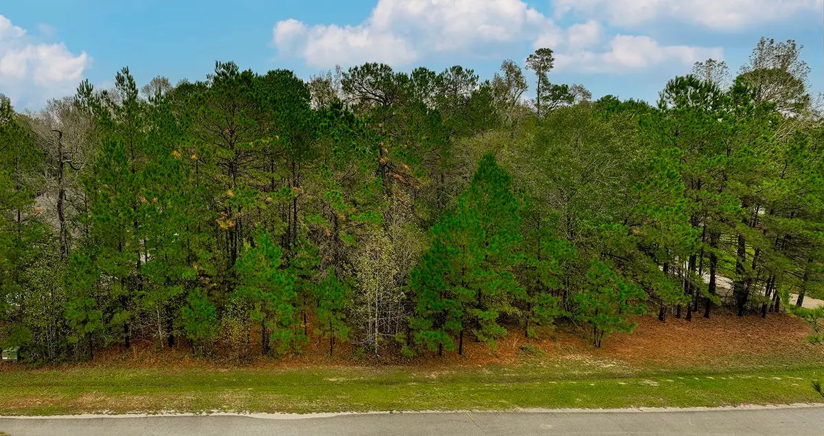 221 Skipper Jack, Montgomery, TX 77316 - Image #1
