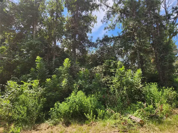 Lot 27 Mayhaw Lane, Plantersville, TX 77363