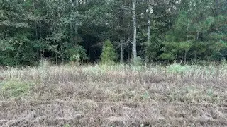 0 Stagecoach Circle, Huntsville, TX 77340 - Image #3