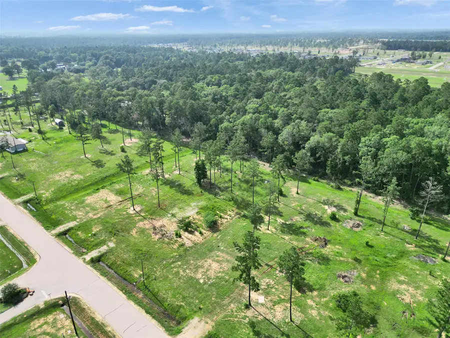 20039 Kincaid Drive, Conroe, TX 77306 - #3