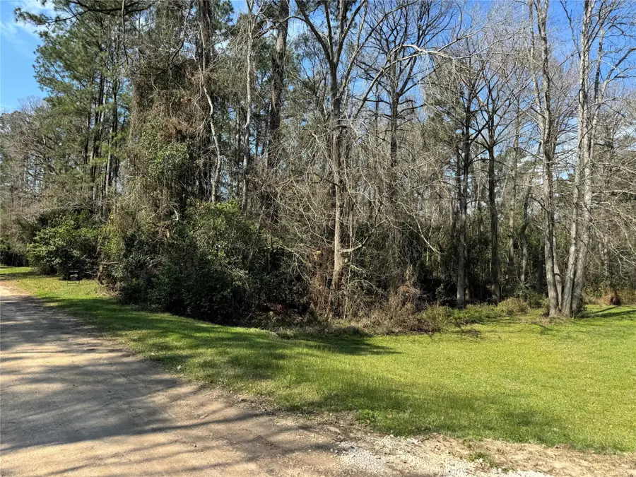 9772 Main Road, Porter, TX 77365 - Image #2