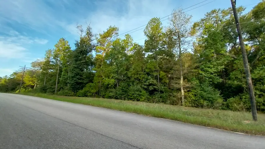 Lot 6 Inscription Lane, Huntsville, TX 77340 - #3