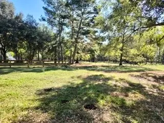 441 Wonderland Drive, Shepherd, TX 77371 - #2