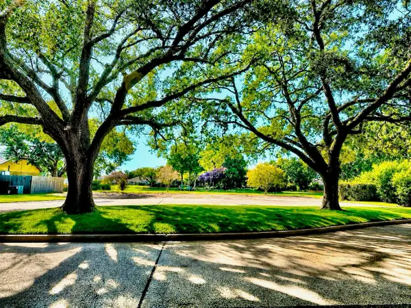 711 Salerno Street, Sugar Land, TX 77478