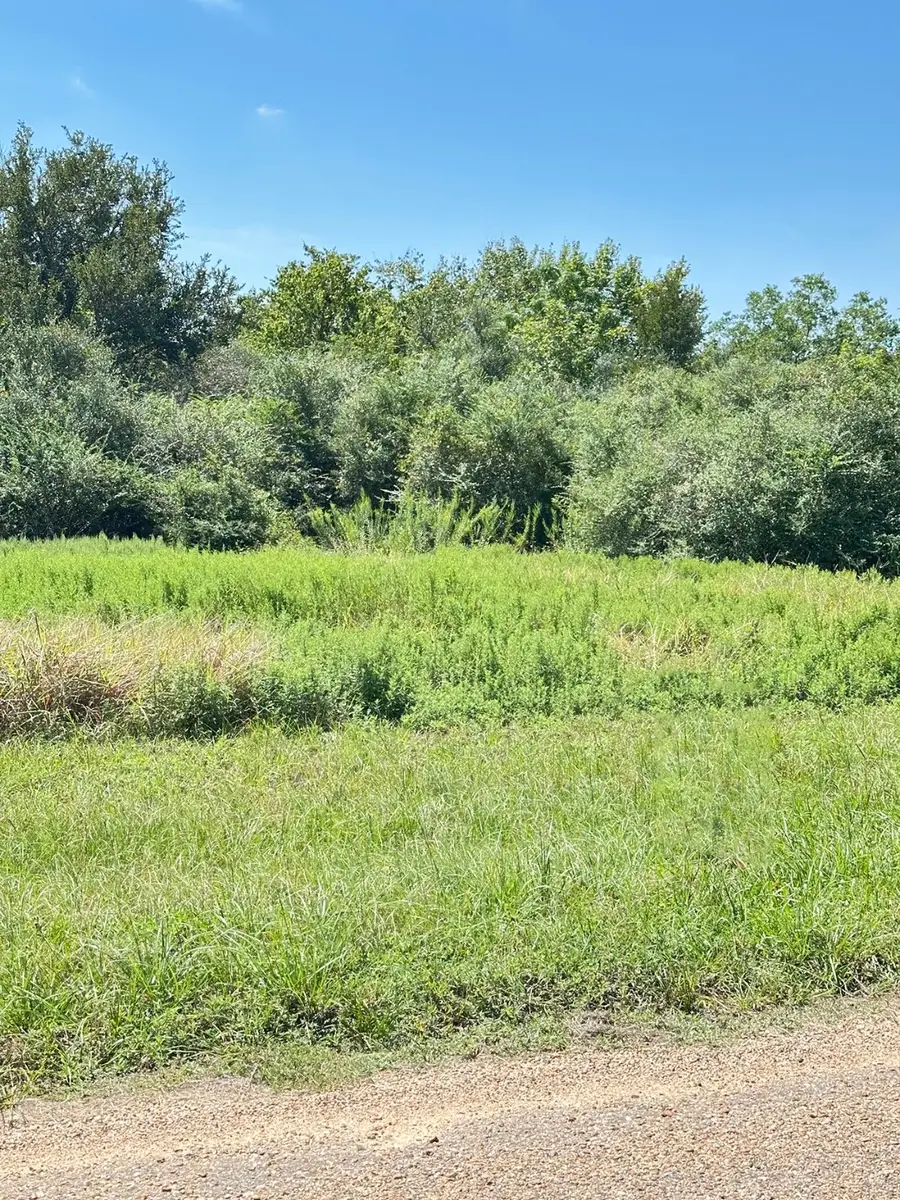 LT 1 24, Rock Island, TX 77470 - Image #2