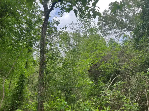 000 Cemetery Road, Ames, TX 77575