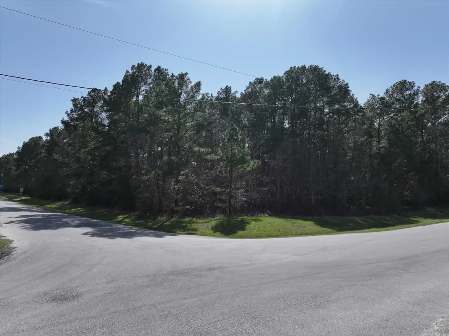 17582 E Terrace Oaks Drive, Waller, TX 77484 - #3