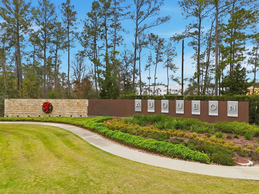 15119 Bank Swallow Place, Magnolia, TX 77354 - #3