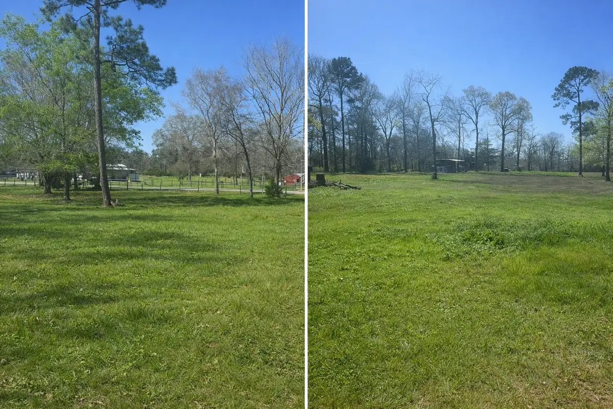 15698 Plaster Circle, Conroe, TX 77303 - #1