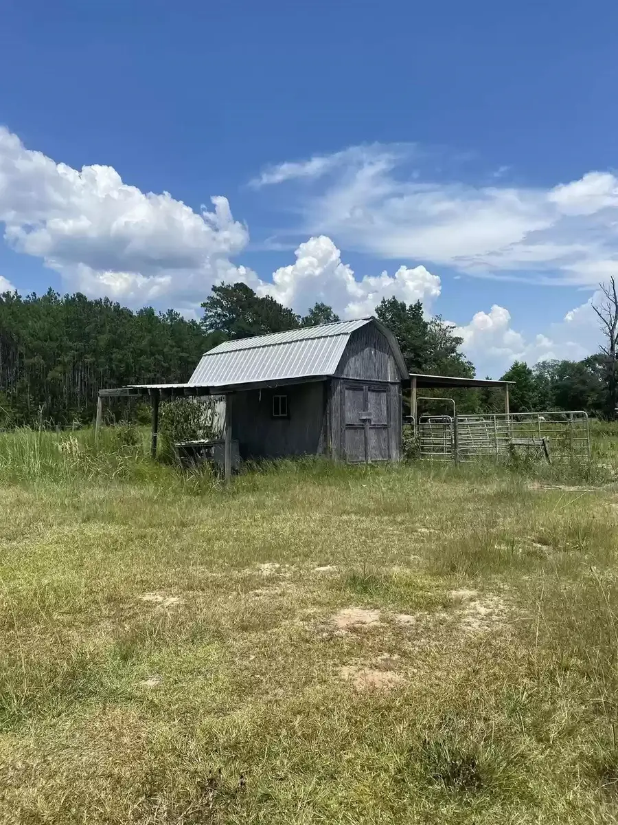 277 County Road 280, Jasper, TX 75951 - Image #2