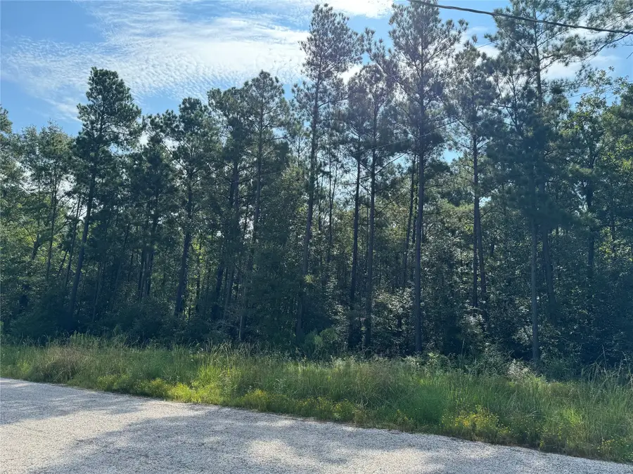 59-6-2 Stagecoach Circle, Huntsville, TX 77340 - Image #3